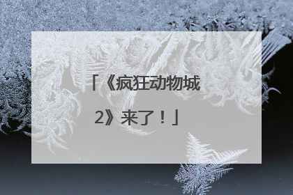 《疯狂动物城2》来了！