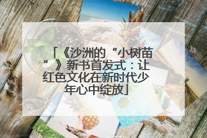 《沙洲的“小树苗”》新书首发式：让红色文化在新时代少年心中绽放