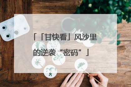 「甘快看」风沙里的逆袭“密码”