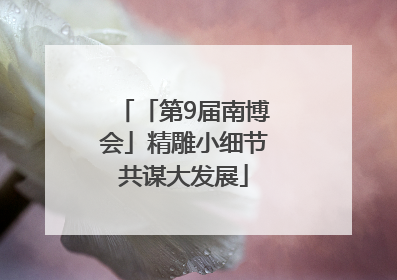 「第9届南博会」精雕小细节共谋大发展