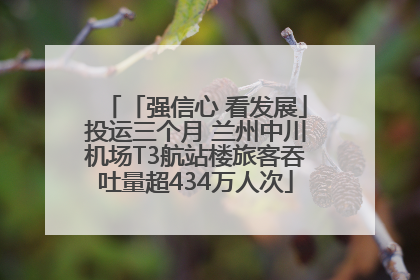 「强信心 看发展」投运三个月 兰州中川机场T3航站楼旅客吞吐量超434万人次