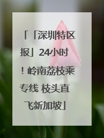 「深圳特区报」24小时！岭南荔枝乘专线 枝头直飞新加坡