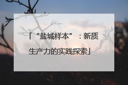 “盐城样本”：新质生产力的实践探索