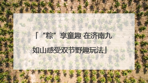 “粽”享童趣 在济南九如山感受双节野趣玩法