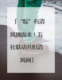 “粽”有清风拂面来！五社联动共织清风网