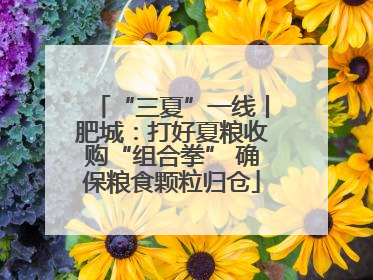 “三夏”一线丨肥城：打好夏粮收购“组合拳” 确保粮食颗粒归仓