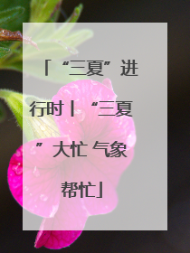“三夏”进行时丨“三夏”大忙 气象帮忙