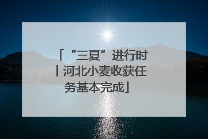 “三夏”进行时丨河北小麦收获任务基本完成