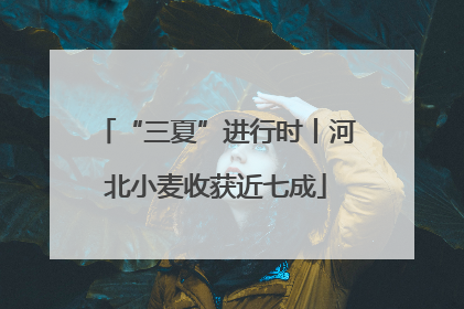 “三夏”进行时丨河北小麦收获近七成