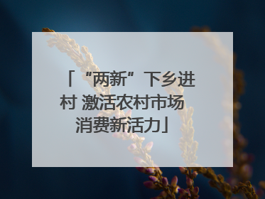“两新”下乡进村 激活农村市场消费新活力