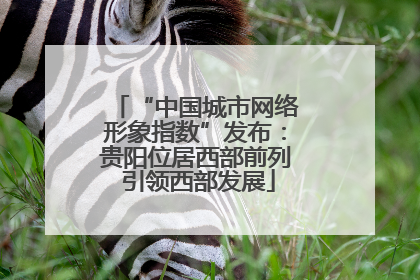 “中国城市网络形象指数”发布：贵阳位居西部前列 引领西部发展