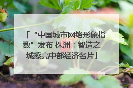 “中国城市网络形象指数”发布 株洲：智造之城擦亮中部经济名片