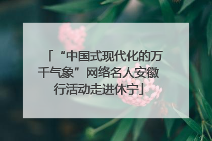 “中国式现代化的万千气象”网络名人安徽行活动走进休宁
