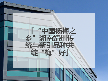 “中国杨梅之乡”湖南靖州传统与新引品种共绽“梅”好