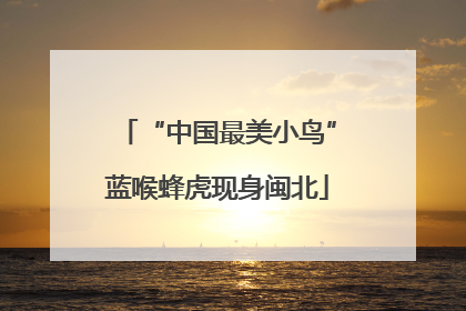 “中国最美小鸟”蓝喉蜂虎现身闽北