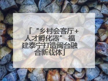 “乡村会客厅+人才孵化器” 福建泰宁打造闽台融合新载体