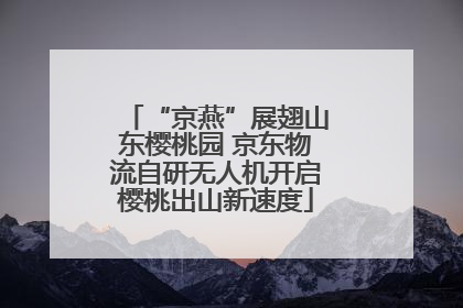 “京燕”展翅山东樱桃园 京东物流自研无人机开启樱桃出山新速度