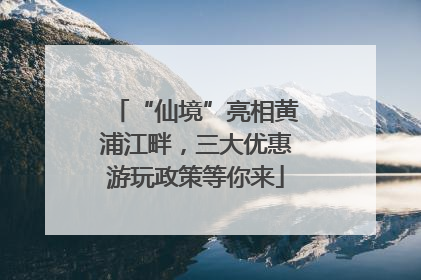 “仙境”亮相黄浦江畔，三大优惠游玩政策等你来