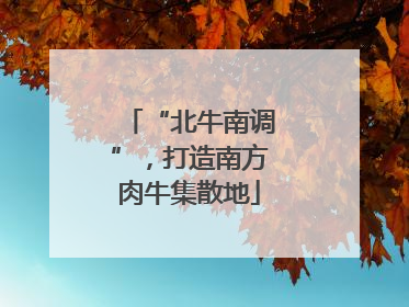 “北牛南调”，打造南方肉牛集散地