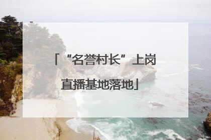 “名誉村长”上岗 直播基地落地