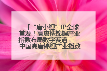 “唐小鲤”IP全球首发！高唐携锦鲤产业指数布局数字赛道——中国高唐锦鲤产业指数暨“唐小鲤”IP全球首发仪式在杭州举行