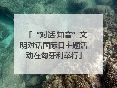 “对话·知音”文明对话国际日主题活动在匈牙利举行