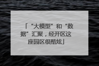 “大模型”和“数据”汇聚，经开区这座园区很酷炫