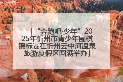 “奔跑吧·少年”2025年忻州市青少年围棋锦标赛在忻州云中河温泉旅游度假区圆满举办