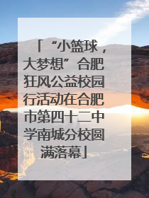 “小篮球，大梦想”合肥狂风公益校园行活动在合肥市第四十二中学南城分校圆满落幕