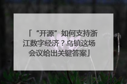 “开源”如何支持浙江数字经济？乌镇这场会议给出关键答案