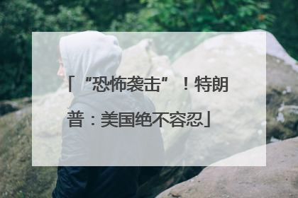 “恐怖袭击”！特朗普：美国绝不容忍