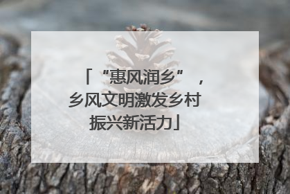 “惠风润乡”，乡风文明激发乡村振兴新活力