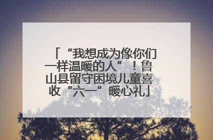 “我想成为像你们一样温暖的人”！鲁山县留守困境儿童喜收“六一”暖心礼