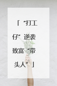 “打工仔”逆袭致富“带头人”