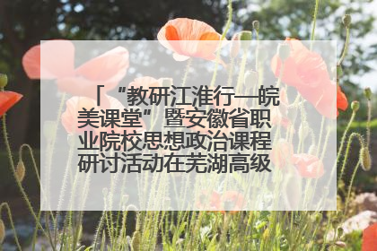 “教研江淮行—皖美课堂”暨安徽省职业院校思想政治课程研讨活动在芜湖高级职业技术学校举行