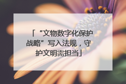 “文物数字化保护战略”写入法规，守护文明需担当