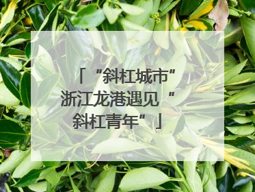 “斜杠城市”浙江龙港遇见“斜杠青年”