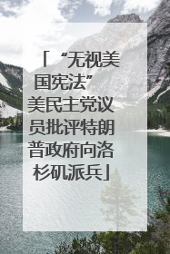 “无视美国宪法” 美民主党议员批评特朗普政府向洛杉矶派兵