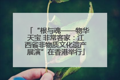“根与魂——物华天宝 非常客家：江西省非物质文化遗产展演”在香港举行
