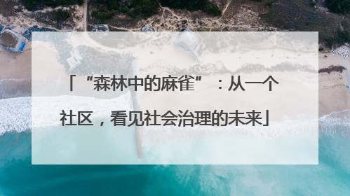 “森林中的麻雀”：从一个社区，看见社会治理的未来