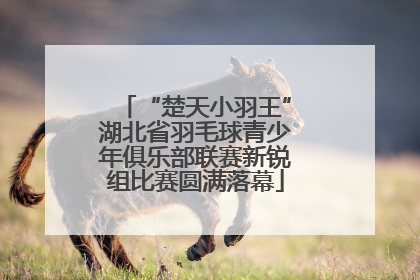 “楚天小羽王”湖北省羽毛球青少年俱乐部联赛新锐组比赛圆满落幕