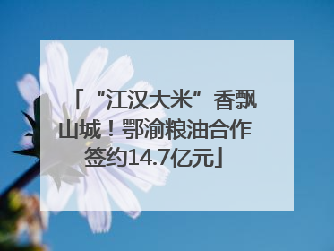 “江汉大米”香飘山城！鄂渝粮油合作签约14.7亿元