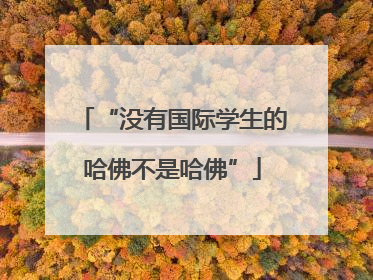“没有国际学生的哈佛不是哈佛”