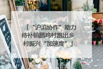 “沪滇协作”助力待补镇鹧鸡村跑出乡村振兴“加速度”