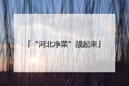 “河北净菜”靓起来