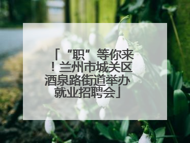 “职”等你来！兰州市城关区酒泉路街道举办就业招聘会