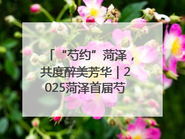 “芍约”菏泽，共度醉美芳华｜2025菏泽首届芍药赛花会开幕，103家企业参赛