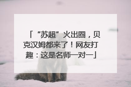 “苏超”火出圈，贝克汉姆都来了！网友打趣：这是名师一对一