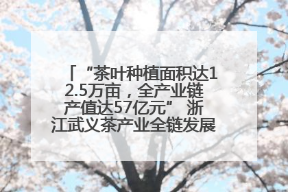 “茶叶种植面积达12.5万亩，全产业链产值达57亿元” 浙江武义茶产业全链发展“加速度”