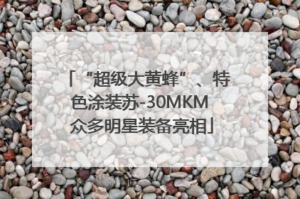 “超级大黄蜂”、特色涂装苏-30MKM 众多明星装备亮相